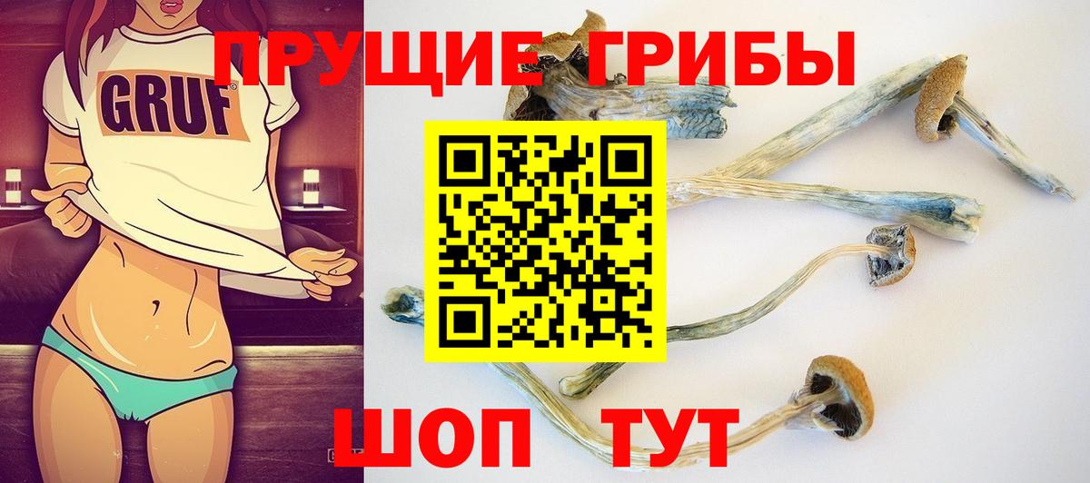 Псилоцибиновые грибы мухоморы  Вход с VPN  Жуковский 